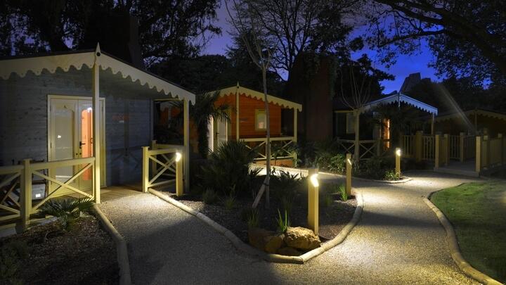 win-an-overnight-stay-in-london-zoo-this-black-friday-the-london-pass